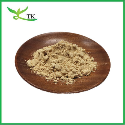Food Grade Seabuckthorn Fruit Extract Powder Ideal For Natural Herbal Supplement