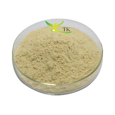 100% Natural Plant Extract Powder High Quality 90% Hesperidin Powder in Bulk
