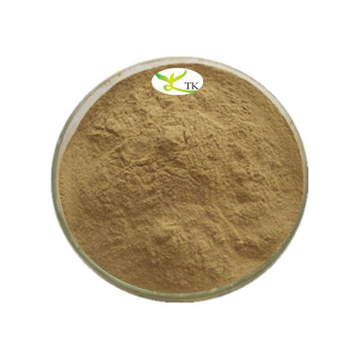 100% Natural Salvadora Persica Extract Powder Miswak Extract 4:1 10:1