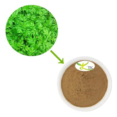 Wholesale Natural Plant Extract Argy Wormwood Leaf Powder Extract 4:1 10:1