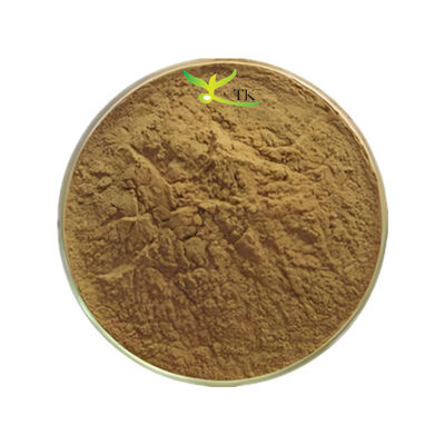Natural Food Grade Slippery Elm Bark Extract Powder 4:1 10:1 in Stock