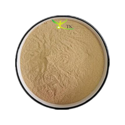 Wholesale Price 100% Natural White Willow Bark Extract 50% Salicin CAS 138-52-3