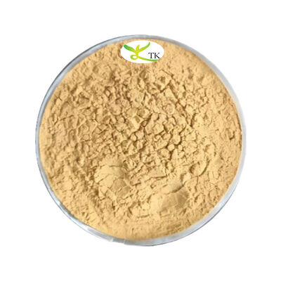 Factory Supply High Quality Sophora Japonica Extract Fructus Sophorae Extract Powder