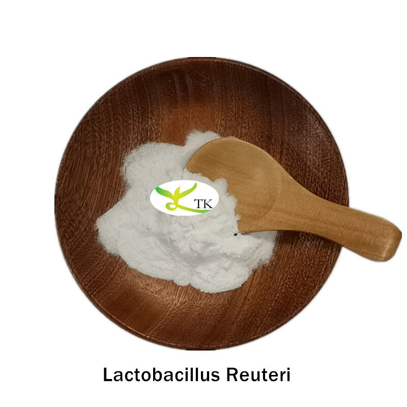 Wholeslae Price Food Grade Probiotics Lactobacillus Reuteri Powder 10 Billion CFU/g