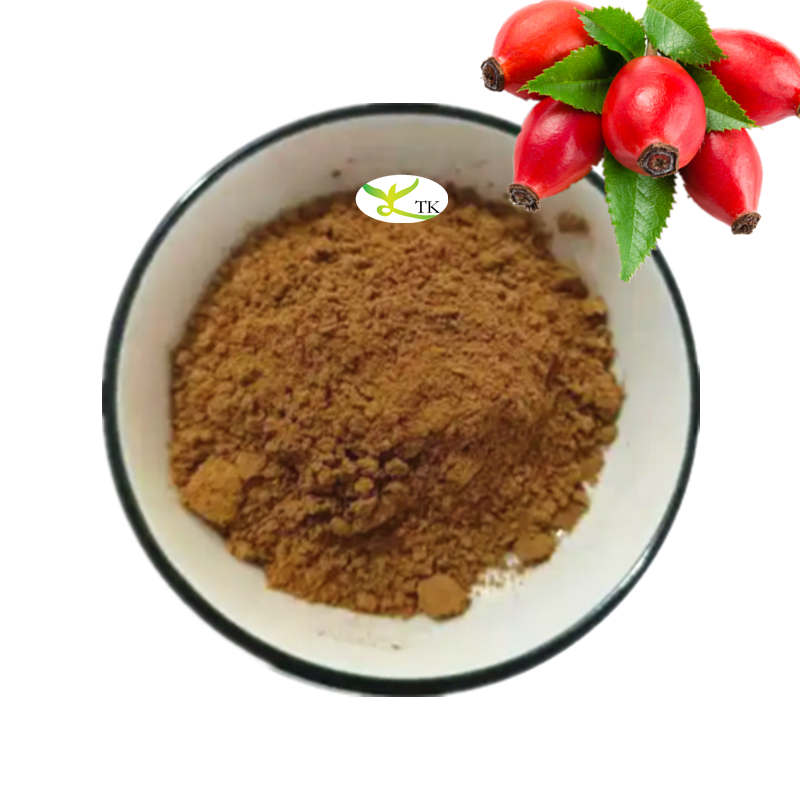 Factory Best Price Vitamin C 5% High Quality Rose Hip Extract Vitamin C Powder