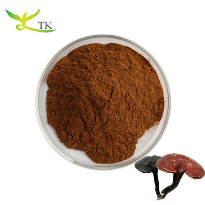 Natural Ganoderma Lucidum Extract Polysaccharides 30% Organic Red Reishi Mushroom Extract Bột