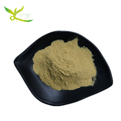 Hỗn hòa trong nước 70% 80% Beta Glucan bột chất lượng thực phẩm tự nhiên Cho chăm sóc sức khỏe