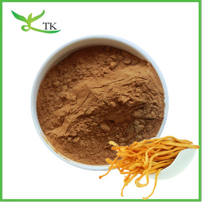 Chiết xuất nấm tự nhiên bột Cordyceps Militaris chiết xuất bột Polysaccharide Cordycepin