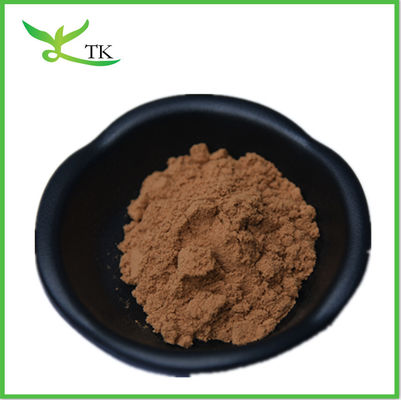30% Polysaccharide Chaga nấm chiết xuất bột