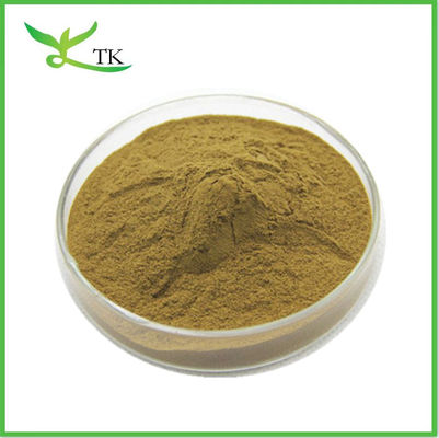 Nhập xưởng số lượng lớn Nuciferine Lotus Leaf Extract Powder Lotus Leaf Powder Loss Weight nguyên liệu
