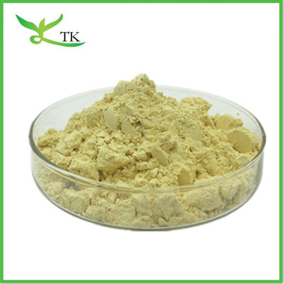 Chiết xuất cây rễ Kava bột Kavalactone 10% 30% chiết xuất Kava Piper Methysticum