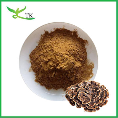 Chất lượng hàng đầu Natural Mushroom Extract Powder Turkey Tail Extract Powder Capsules Bulk