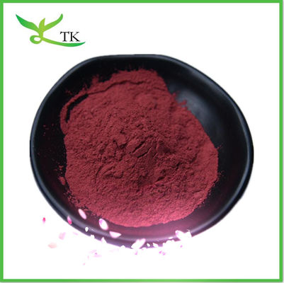Nhập xưởng bán lẻ bột chiết xuất quả nam việt quất hòa tan Anthocyanin 25% Bột OPC