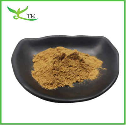 Chất chiết xuất fenugreek Lượng thực phẩm bổ sung thảo dược Chất chiết xuất fenugreek tinh khiết bột