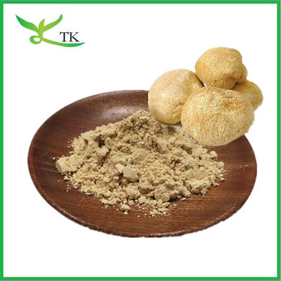 Bổ sung chăm sóc sức khỏe Hericium Erinaceus tự nhiên tinh khiết bột Lion' s Mane nấm bột