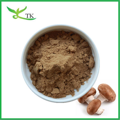 Dầu chiết xuất nấm tự nhiên 100% tinh khiết Shiitake Dầu chiết xuất nấm
