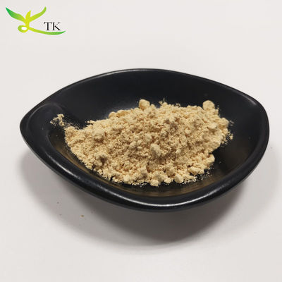Siêu thực phẩm Chăm sóc sức khỏe Hericium Erinaceus Extract Lion's Mane Nấm bột