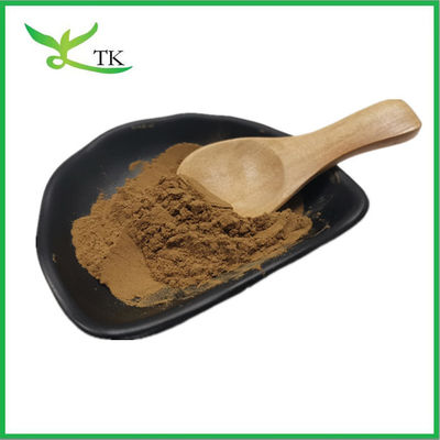 Chiết xuất thực vật tự nhiên Coleus Forskohlii chiết xuất rễ bột 20% 98% Forskolin