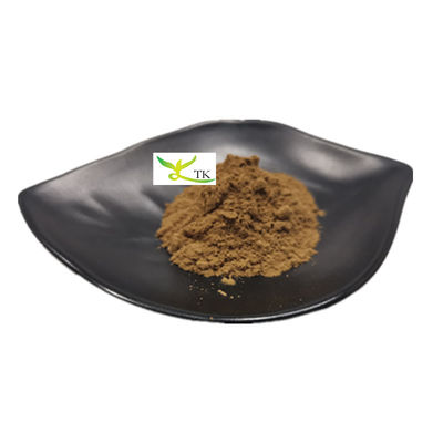 Chiết xuất nấm tự nhiên Polysaccharide 20% Chiết xuất nấm Chaga bột