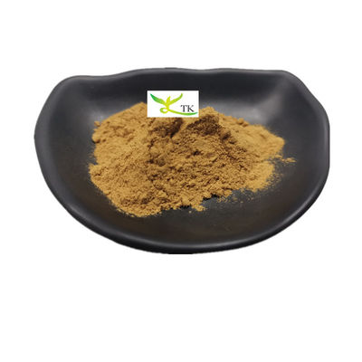Natural Cistanche Deserticola Extract Caulis Cistanchis Extract Bulk Cistanche Tubulosa Extract Bột