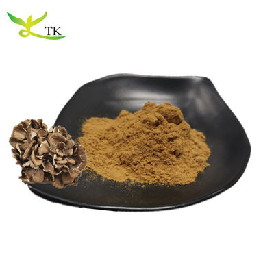 Đồ bán buôn bổ sung nấm tự nhiên 100% Bột chiết xuất Grifola Frondosa