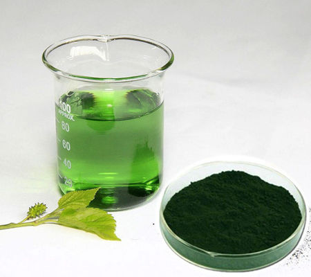 Nhà sản xuất Giá bán buôn Natural Mulberry Extract Chlorophyll tinh khiết Bột bán lẻ