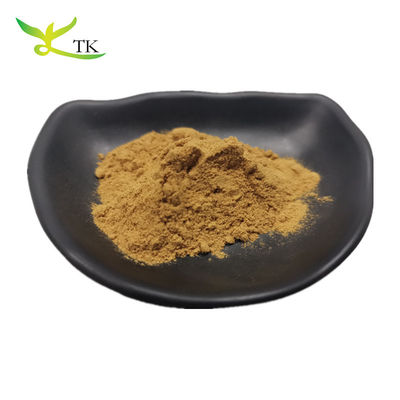 Giá tốt nhất bột chiết xuất lá ô liu tự nhiên 20% 40% 70% Oleuropein