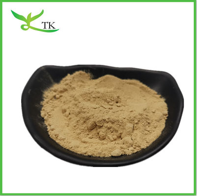 Chất chiết xuất nấm nấm trắng Polysaccharide Agaricus Bisporus