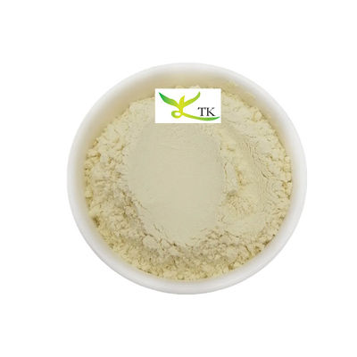 Chiết xuất thực vật tự nhiên lá xoài chiết xuất bột Mangiferin 95% CAS 4773-96-0