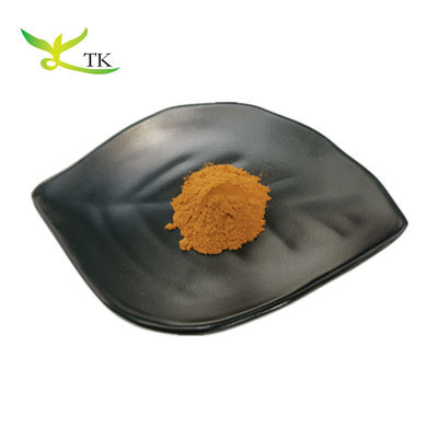 Chất chiết xuất thực vật tự nhiên Chất chiết xuất Rosemary Bột axit carnosic axit ursolic axit rosmarinic axit