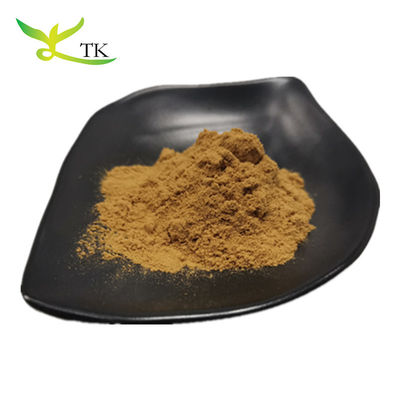 Phân phối bán buôn Yerba Mate Extract Natural Paraguay Tea Mate Tea Extract
