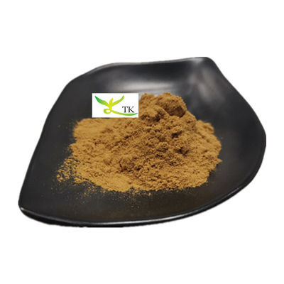 100% chiết xuất nấm Osyter tự nhiên bột Pleurotus Ostreatus chiết xuất