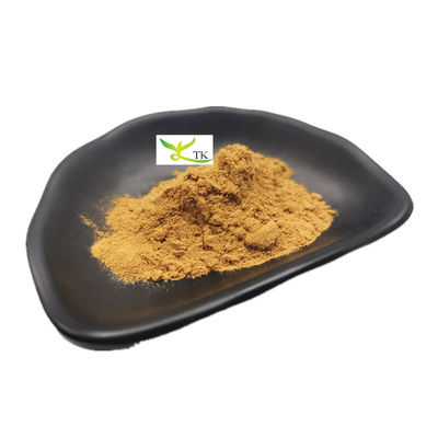 Natural Astragalus Membranaceus Extract Astragaloside IV Bột Cycloastragenol