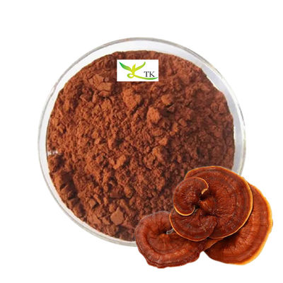 Giá bán buôn Nhập lượng 100% Ganoderma Lucidum Reishi bột bào tử nấm tự nhiên