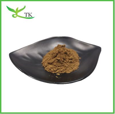 Bổ sung Cistanche Tubulosa chiết xuất bột 50% Echinacoside + 10% Verbascoside