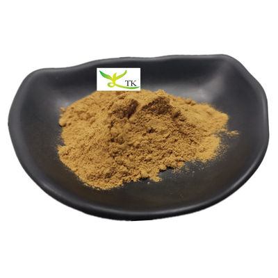 Giá bán buôn Đưa ra Nasturtium Officinale Natural Watercress Extract 10:1 Bột nước