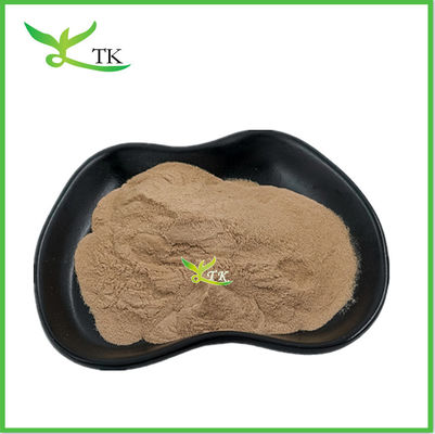 Nhập lượng lớn Lentinus Edodes chiết xuất nấm Shiitake chiết xuất bột nấm Shiitake