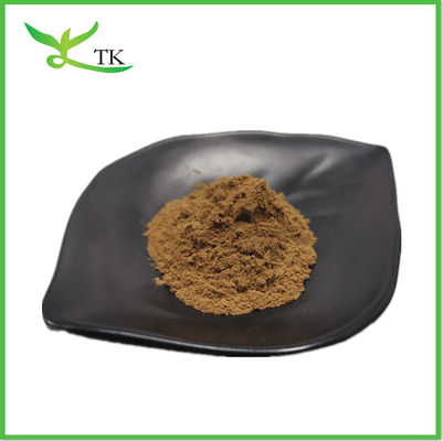 Chất chiết xuất lá Ivy hòa tan trong nước 10% chất chiết xuất lá Ivy bột bột lá Ivy
