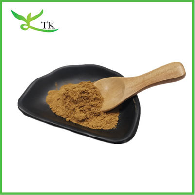 Cordyceps Sinensis 40% Polysaccharide axit Cordycepic Cordyceps Sinensis chiết xuất