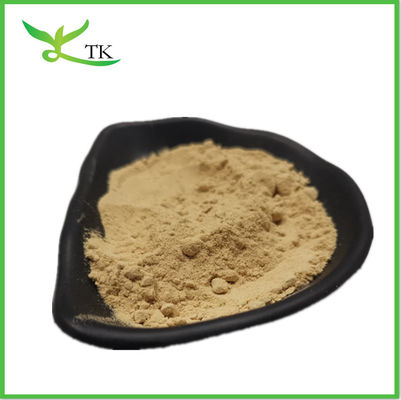 Sức khỏe Coriander Extract Coriandrum Sativum Extract Cilantro Extract Coriander bột