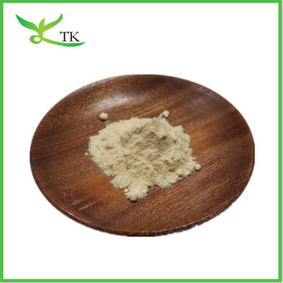 Beta Glucan bột men Glucan Saccharomyces Cerevisiae chiết xuất bột