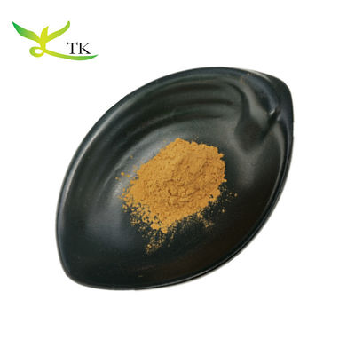 Chất bổ sung thảo dược Bột hạt Cuscuta tự nhiên tinh khiết 10: 1 Chiết xuất hạt Dodder cho nam giới