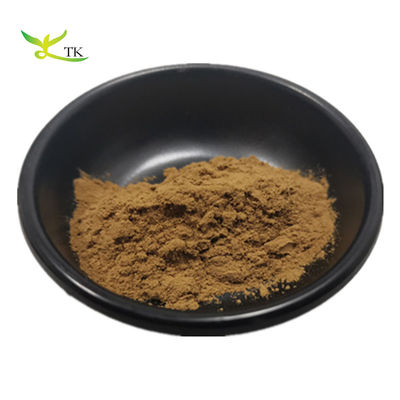 Chất lượng cao nhất Brahmi chiết xuất 50% Bacopa Monnieri chiết xuất bột Bacopasides