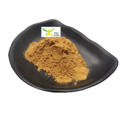 Bổ sung thảo dược tự nhiên Panax Quinquefolius chiết xuất bột 10:1 20:1 American Ginseng chiết xuất bột