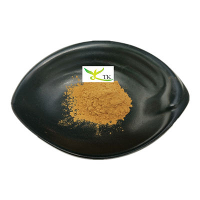 Giá bán buôn tự nhiên Portulaca Oleracea Purslane thảo mộc chiết xuất bột Purslane chiết xuất 10:1