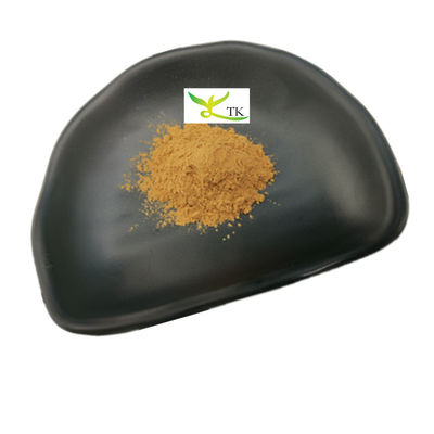 Giá bán buôn Thuốc chiết xuất Agaricus Bisporus tự nhiên bột 10% ~ 50% Polysaccharides