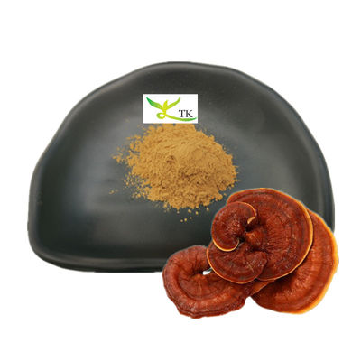 Đồ bán buôn Ganoderma Lucidum Extract Reishi Mushroom Extract Bột polysaccharides 30%