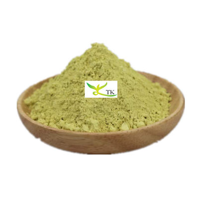 Chất lượng tốt nhất chiết xuất thực vật tự nhiên Sophora Japonica chiết xuất Kaempferol 98% Kaempferol giá bán buôn