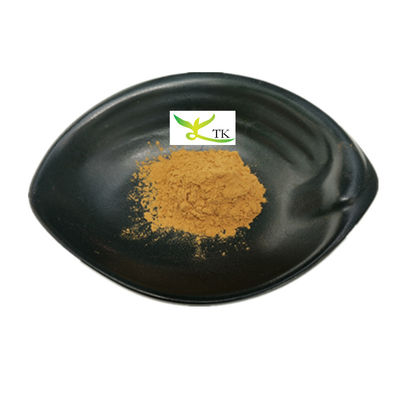 100% tự nhiên Trung Quốc Red Date trái cây bột Jujube trái cây bột chất lượng thực phẩm