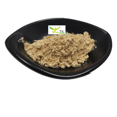Natural Tremella Fuciformis Extract Powder Tremella trắng Tremella nấm chiết xuất Polysaccharides 30%